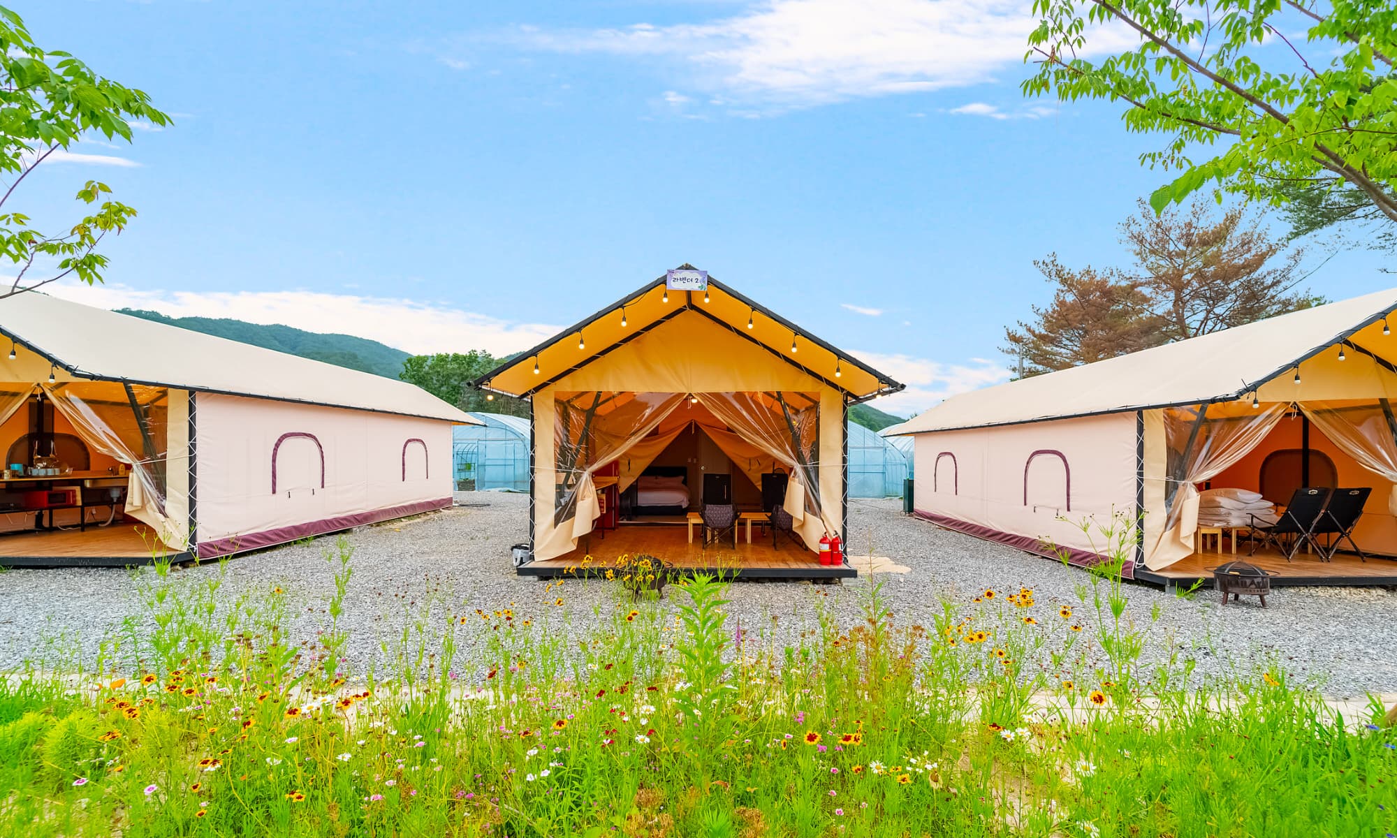 (주)더그린포천 농업회사법인(민트글램핑)