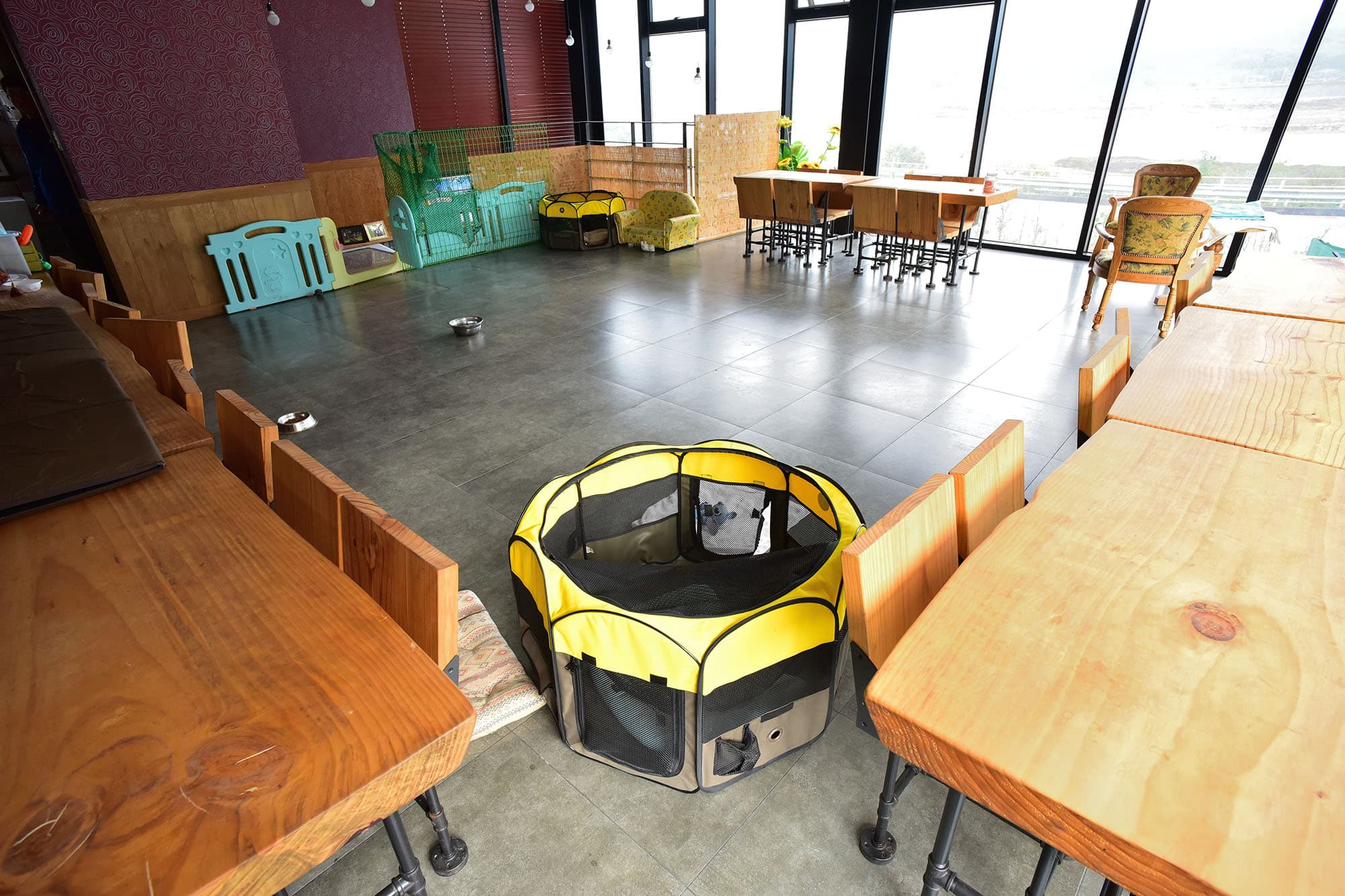 한별 도그파크 이미지 2