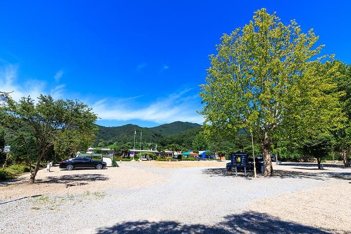 솔부엉이 캠핑장