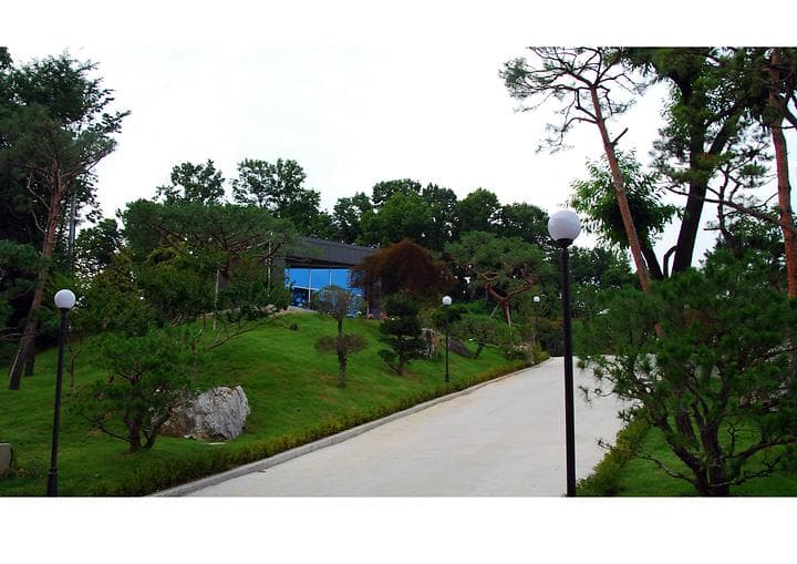 솔잎향캠핑파크