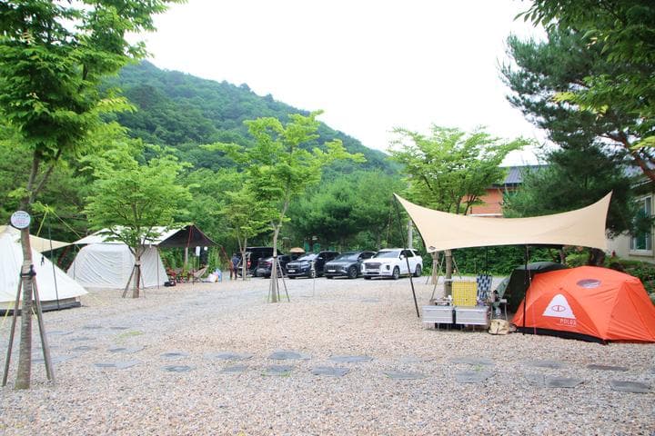 캠프 고토일