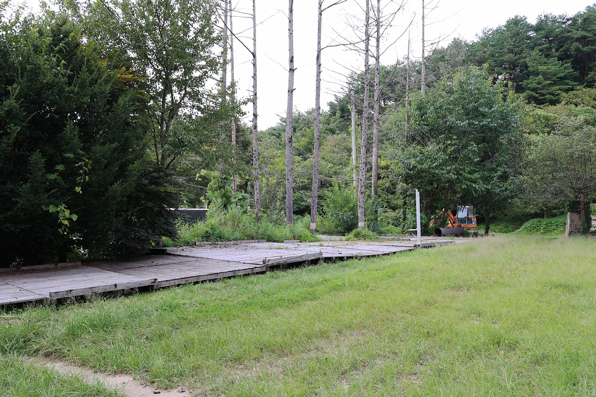 모란골관광농원 이미지 3