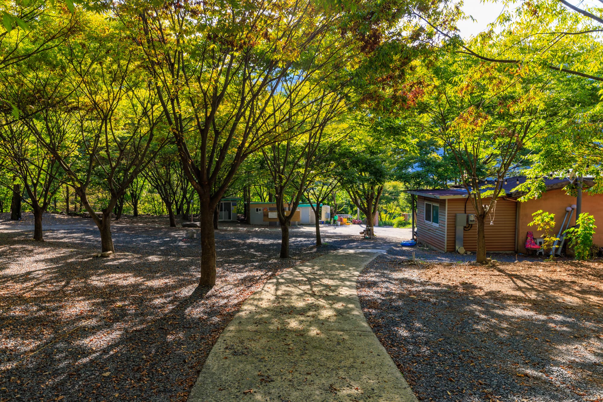 약초농원 캠핑장 이미지 2