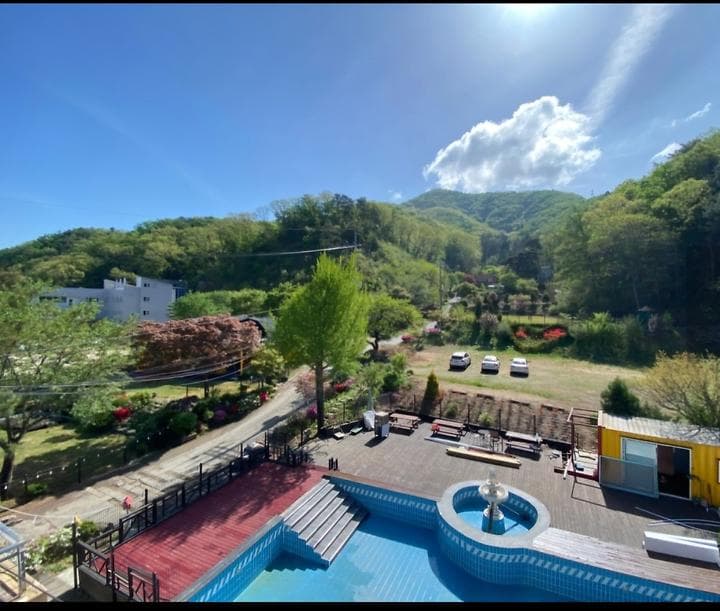 펫밀리애견파크타운