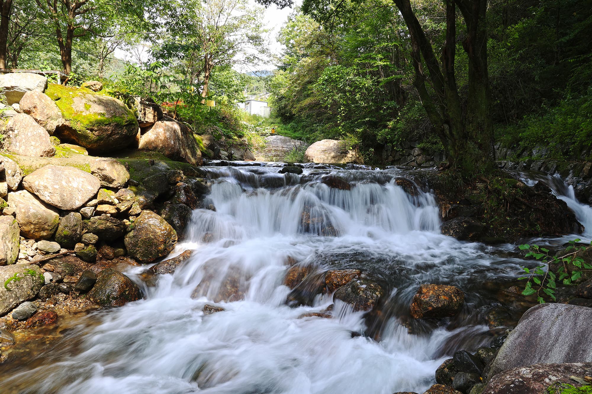 신박힐링캠프 이미지 3