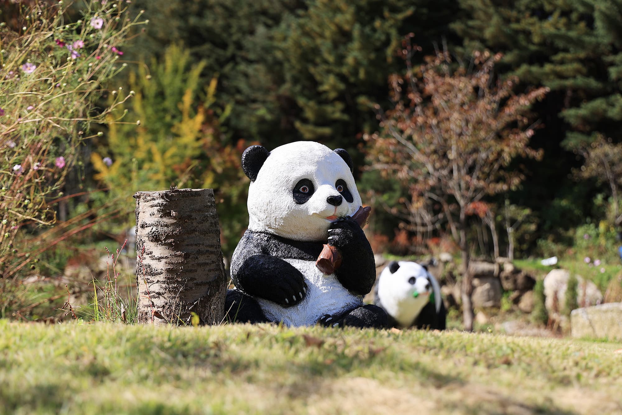 힐링캠프 제이앤엘(J&L) 이미지 3