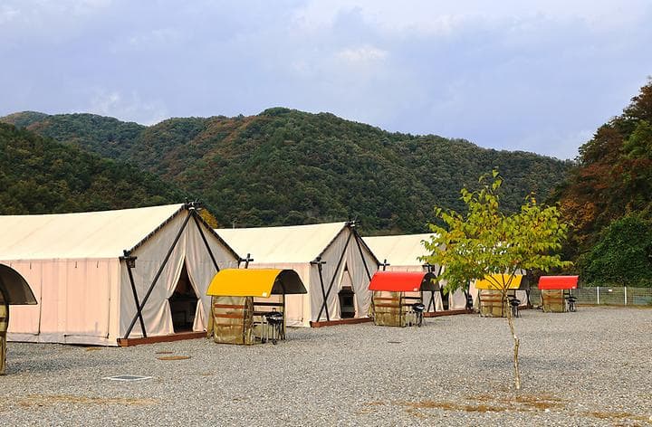 가평자작나무글램핑