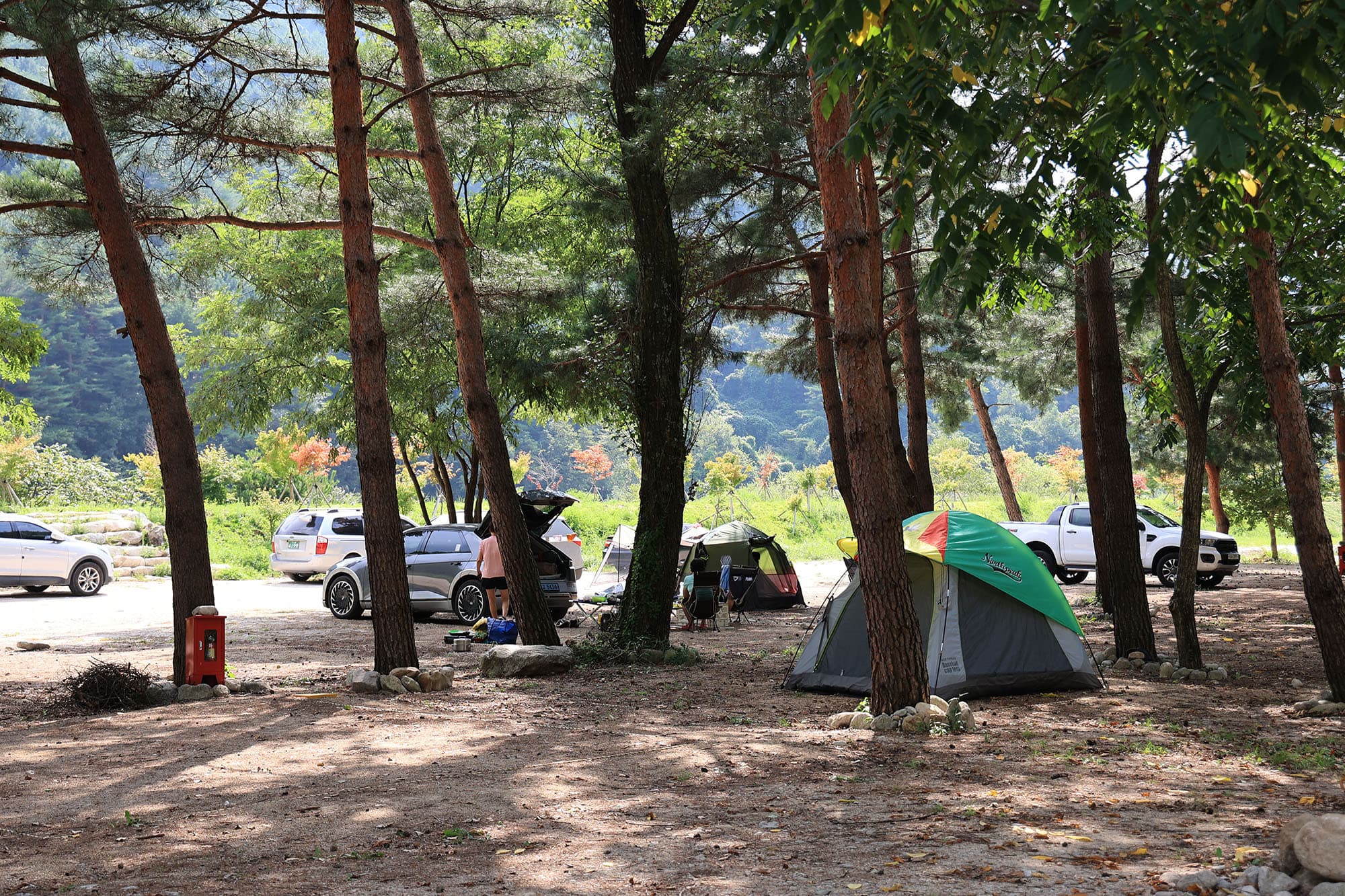 한계2리 솔밭야영장 이미지 3