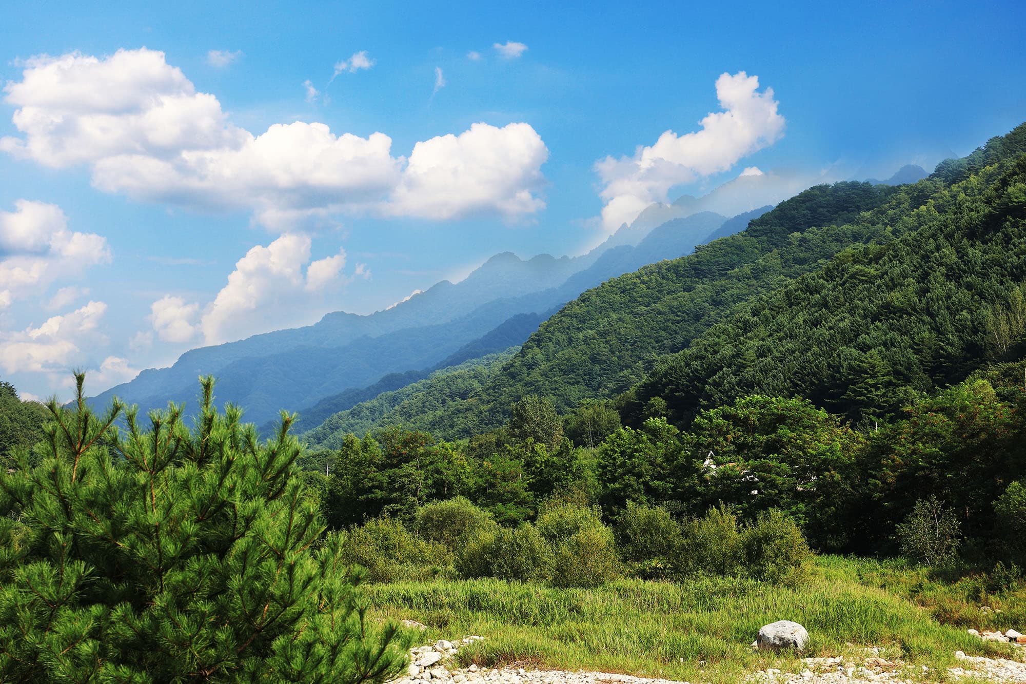 한계2리 솔밭야영장 이미지 2
