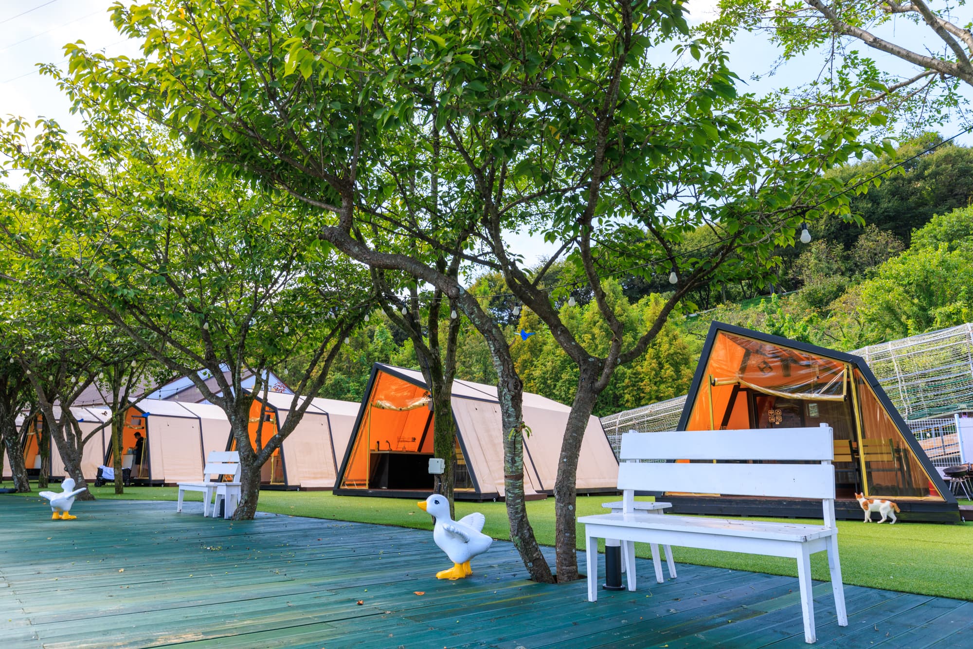 (주)청도 프로방스 글램핑 이미지 2