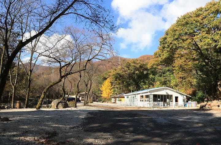 딥포레스트캠핑장