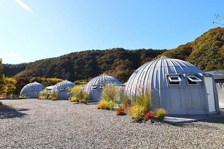 돔 아일랜드 304