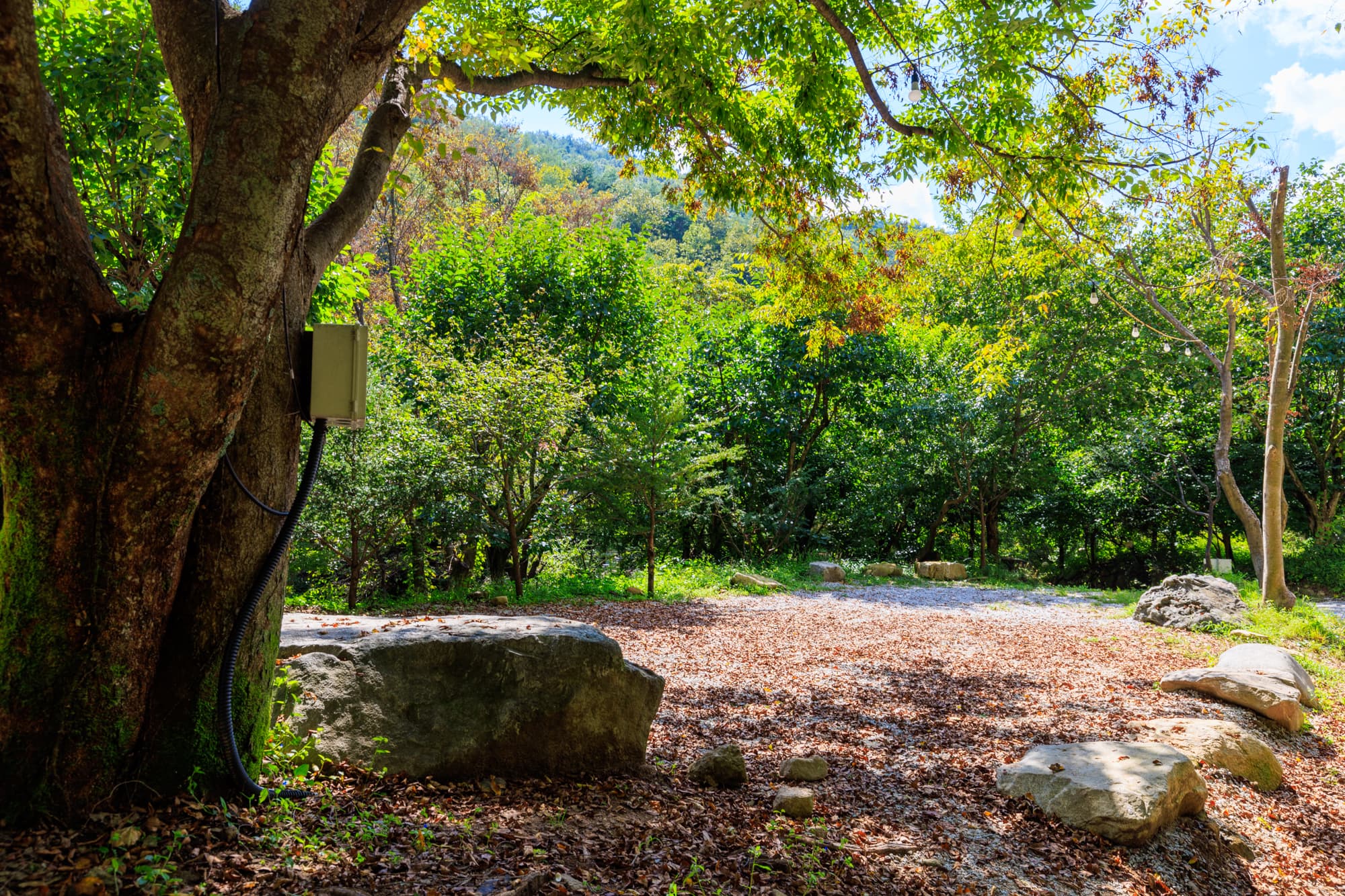 옥당걸숲속관광농원 이미지 3