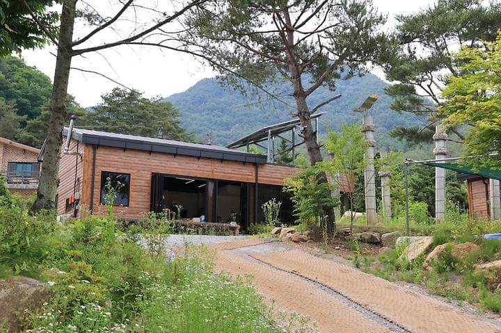 힐링인더 포레스트