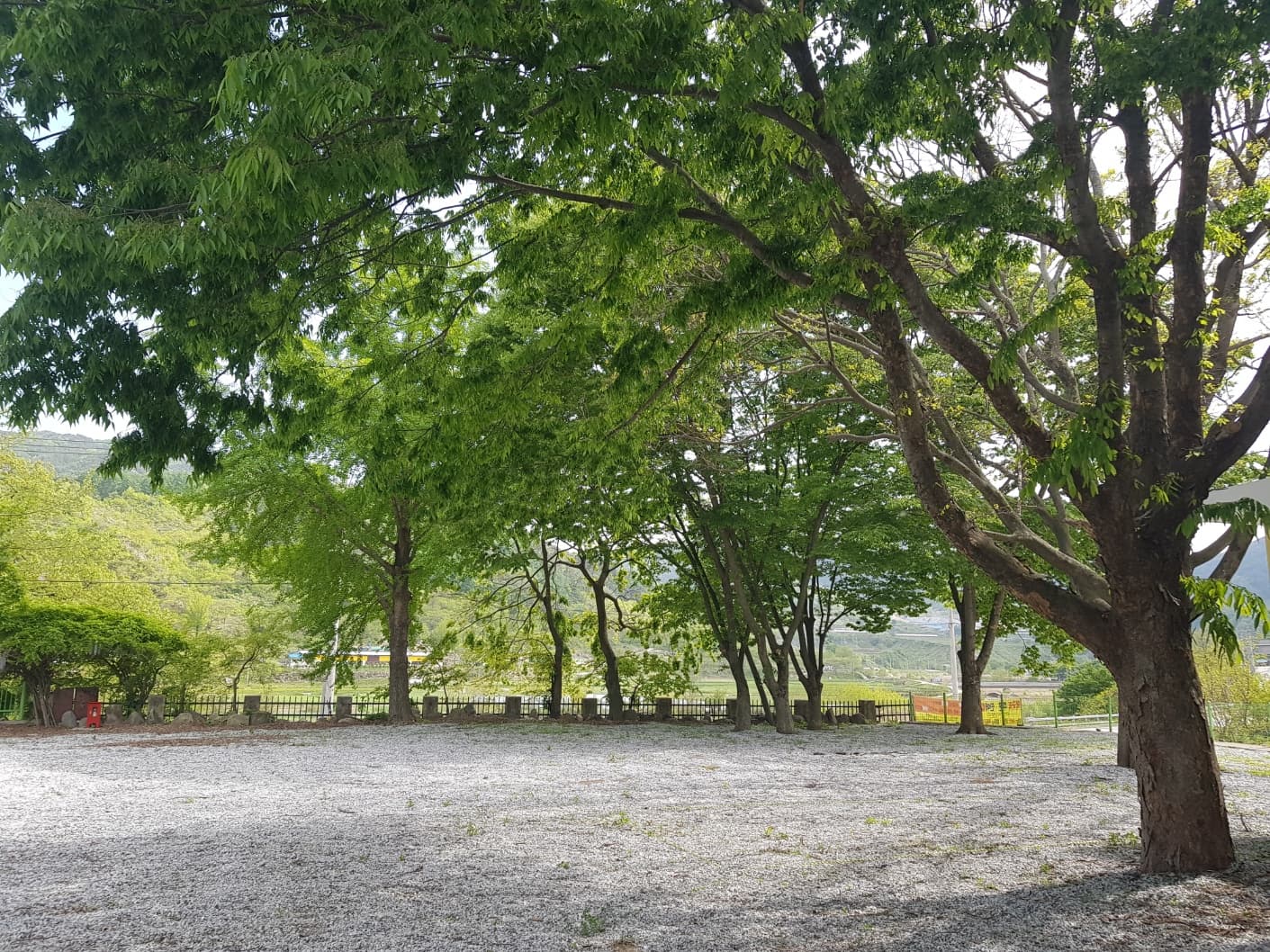 양지마을야영장 이미지 2