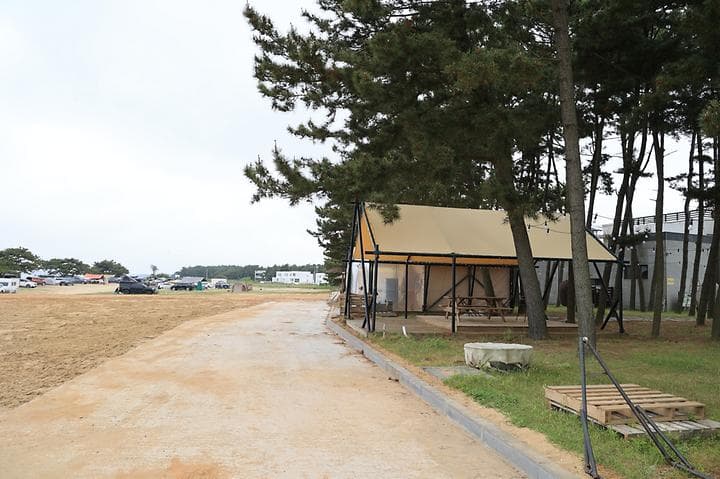 청포대솔밭야영장