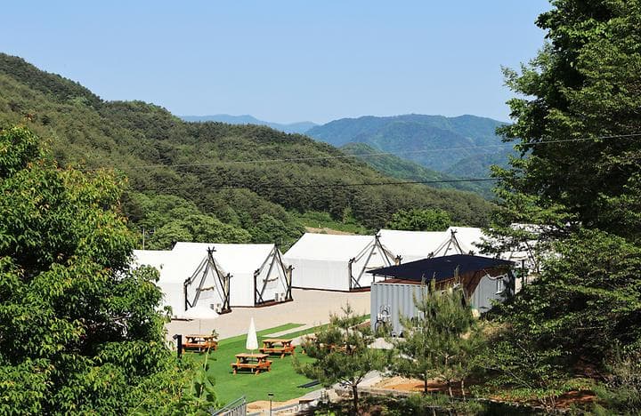 원대리751 글램핑