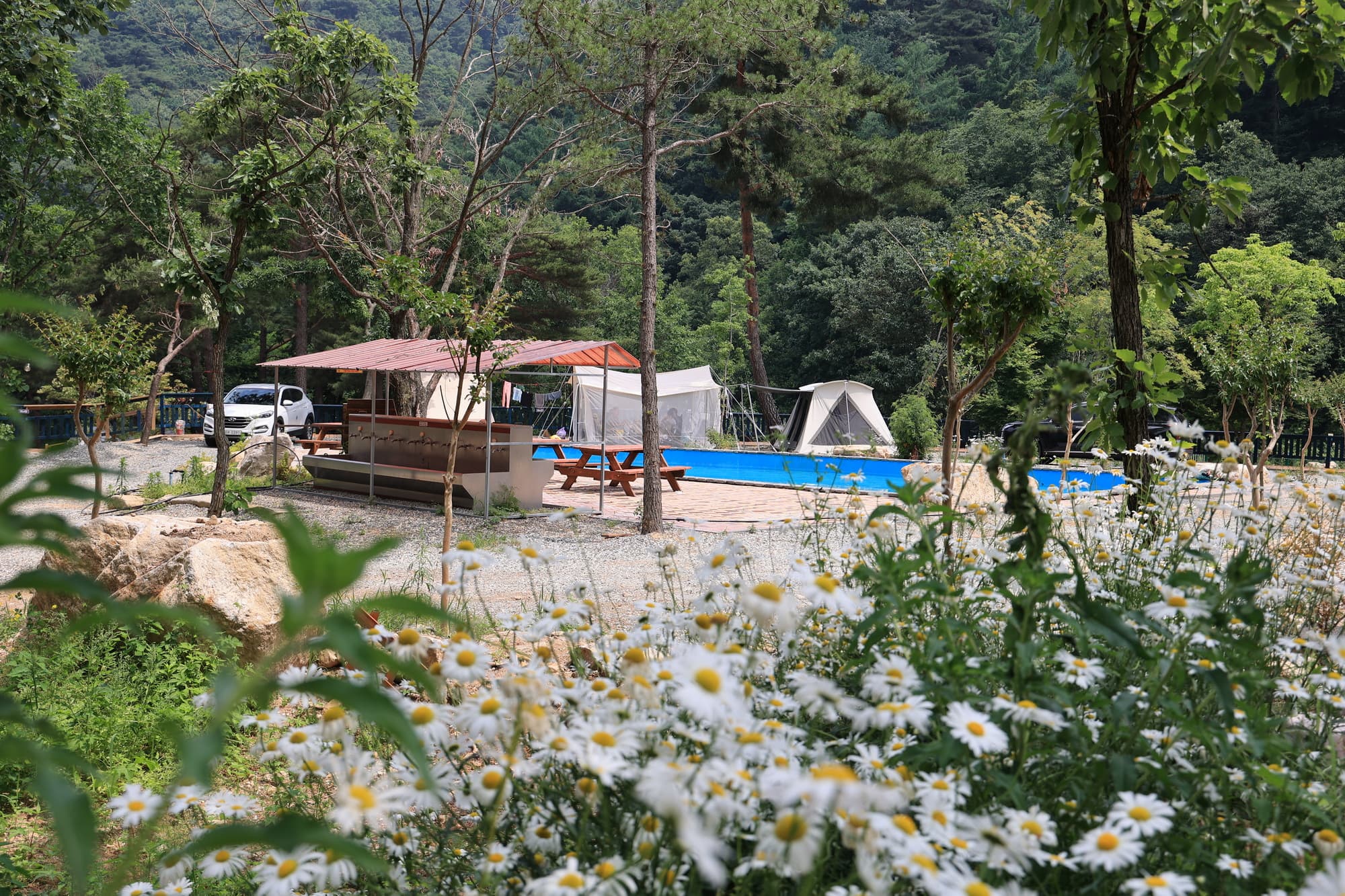 팜스프링 야영장 이미지 2