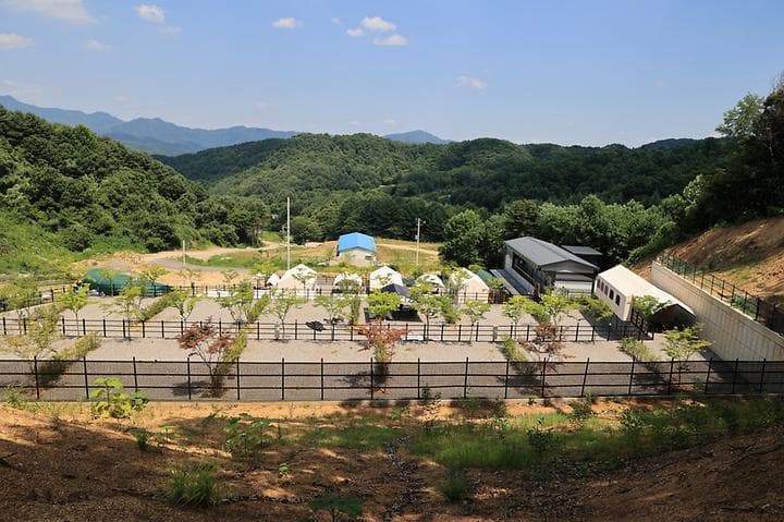 숲속에햇살캠핑장