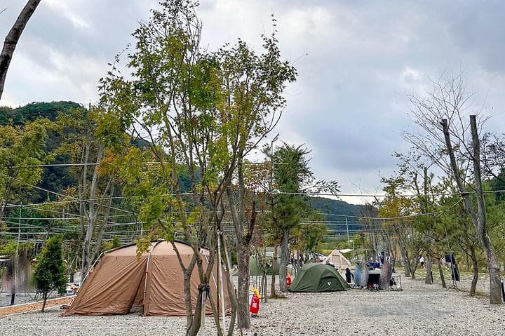 옥화 포시즌캠핑장