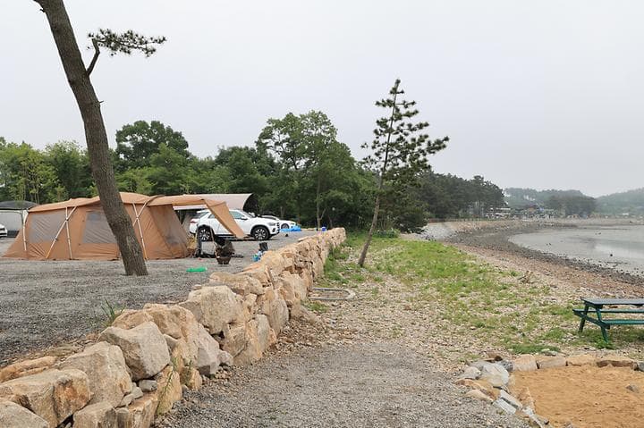 태안머드오토캠핑