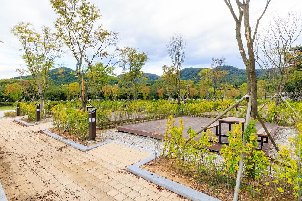 내장산국립공원 내장호야영장 이미지 2