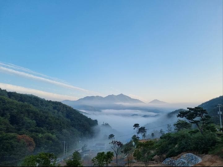 오도산 관광농원