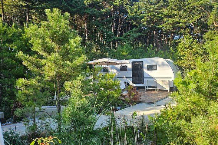 청도브리즈힐캠핑앤카라반