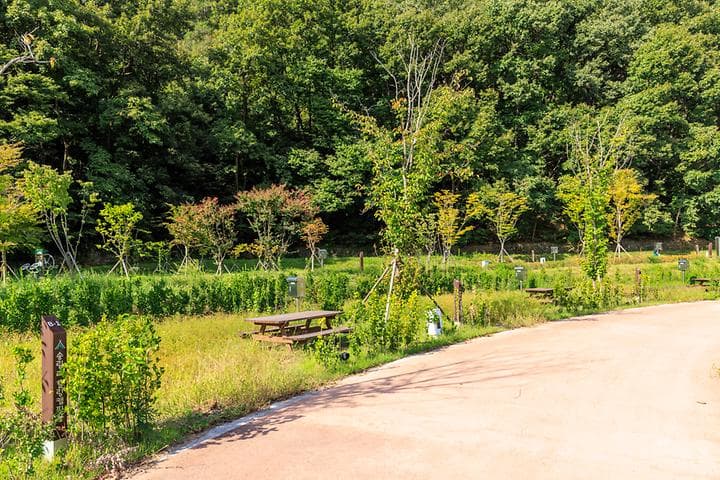 송림 힐링캠핑장