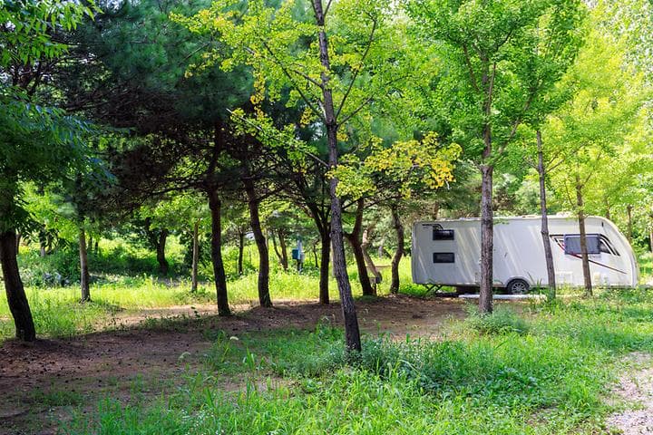치휴관광농원 야영장