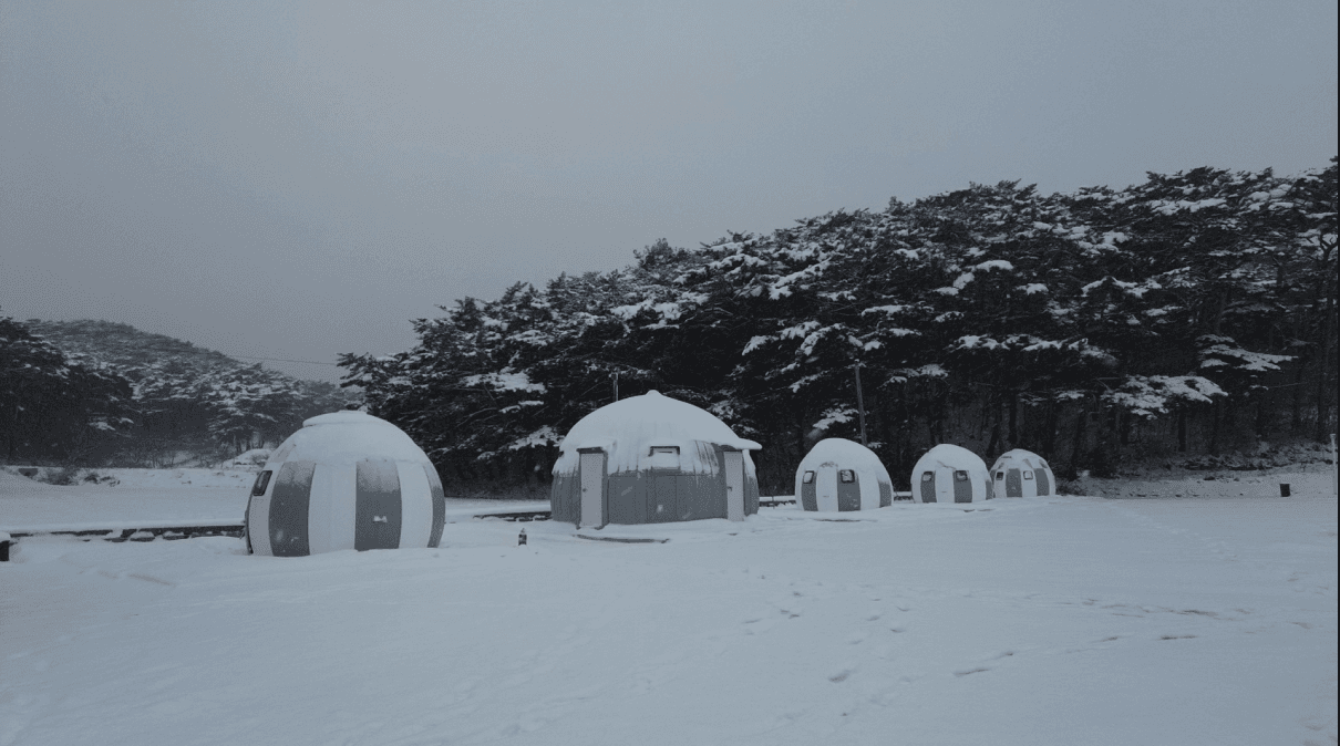 안면도관광농원 이미지 2