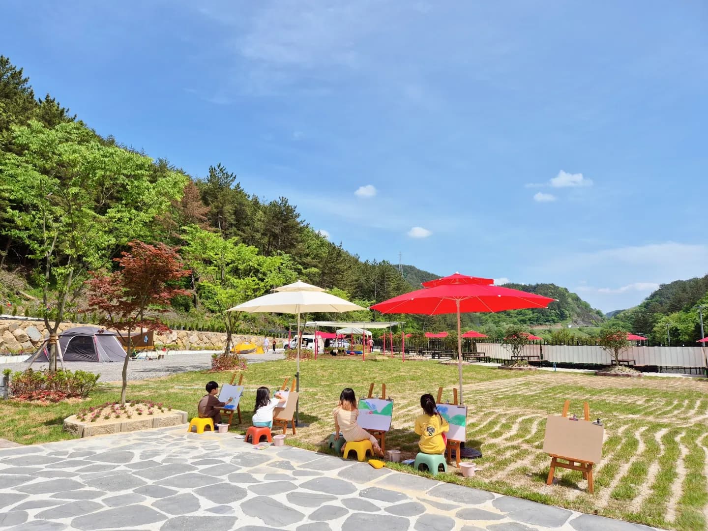 대암 팜트리 이미지 2