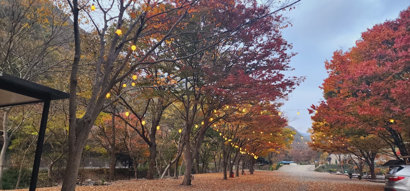 이안힐링랜드 이미지 3