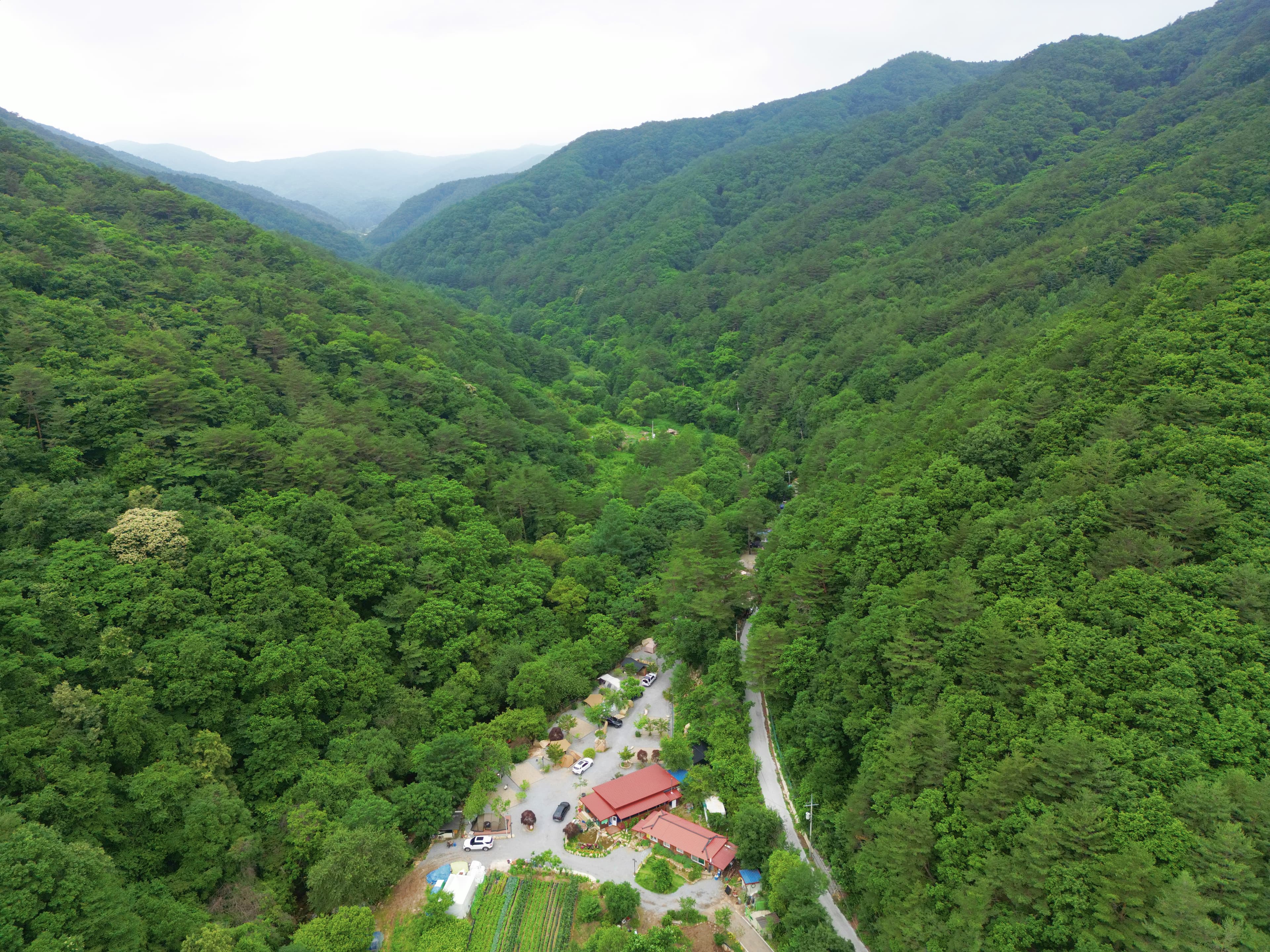 유포리아 캠핑장 이미지 3