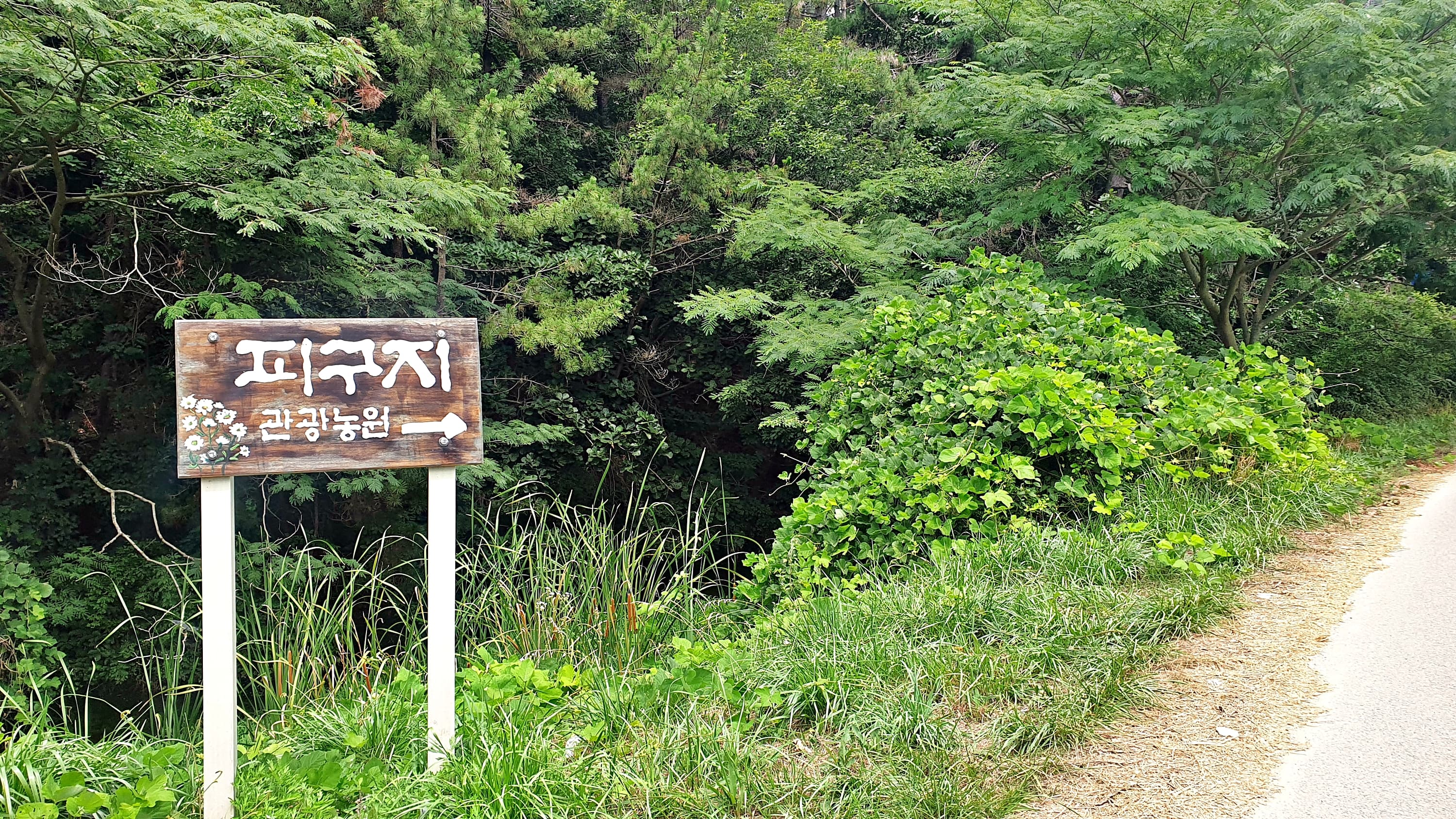 피구지 관광농원 이미지 3