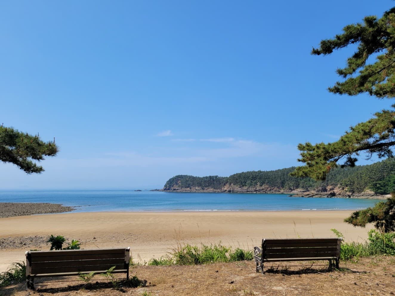 구름포해변캠핑장 이미지 2