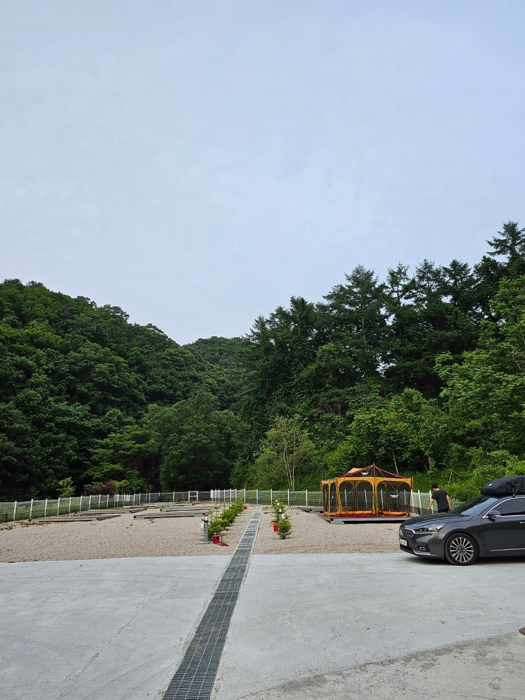 블루베리캠핑장 이미지 3