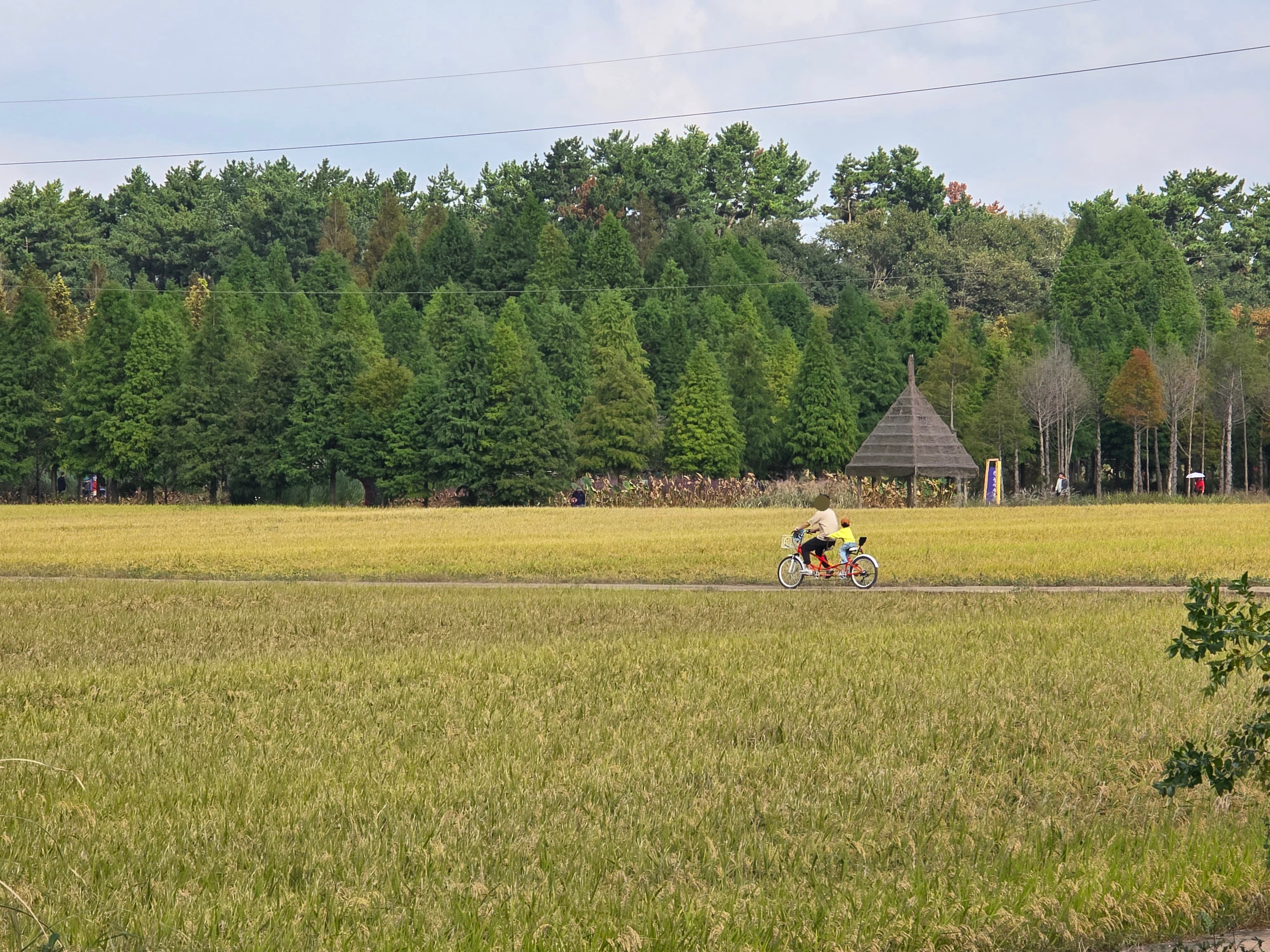 달산 글램핑 이미지 3