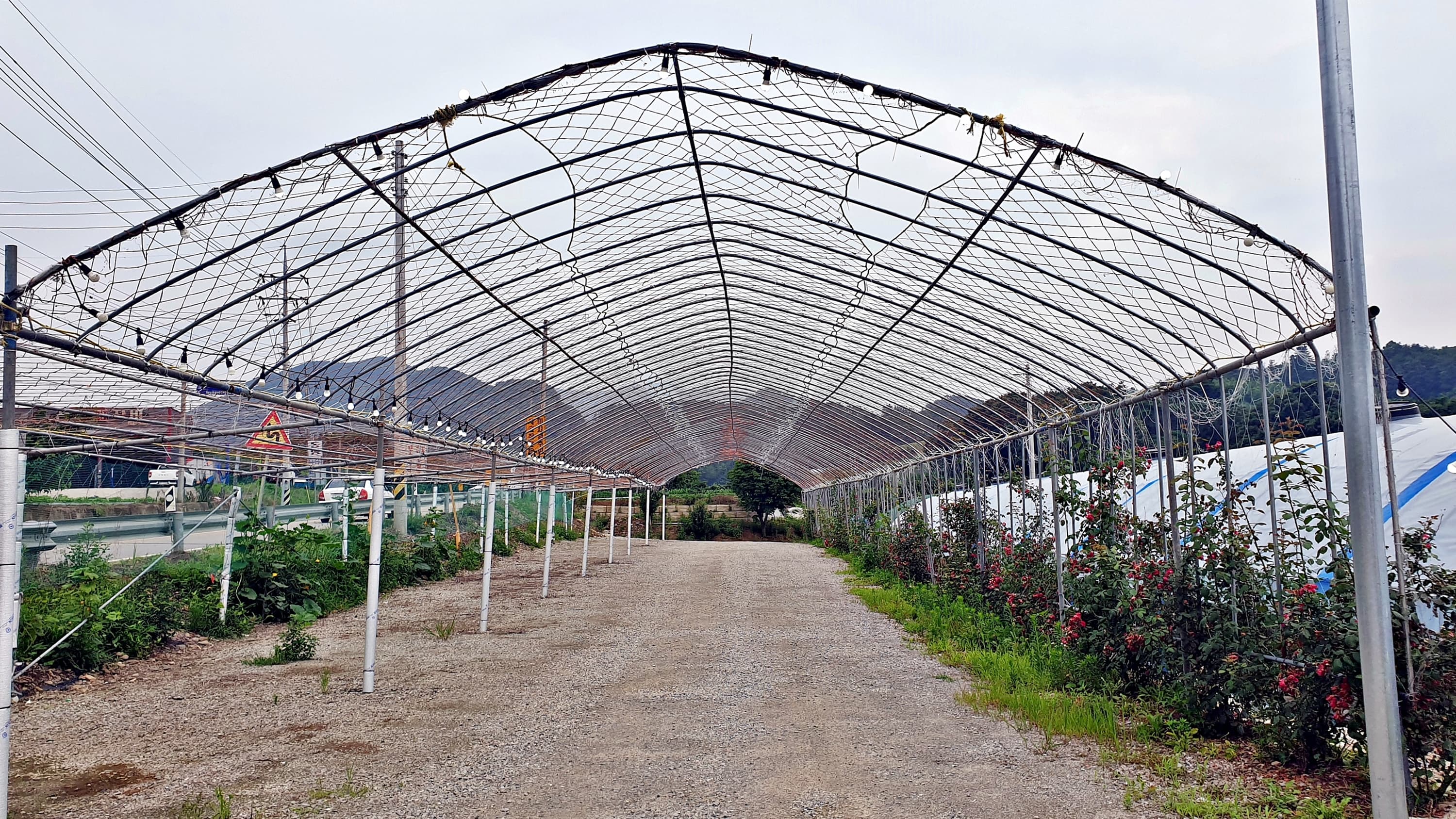 숲캠핑장 이미지 3