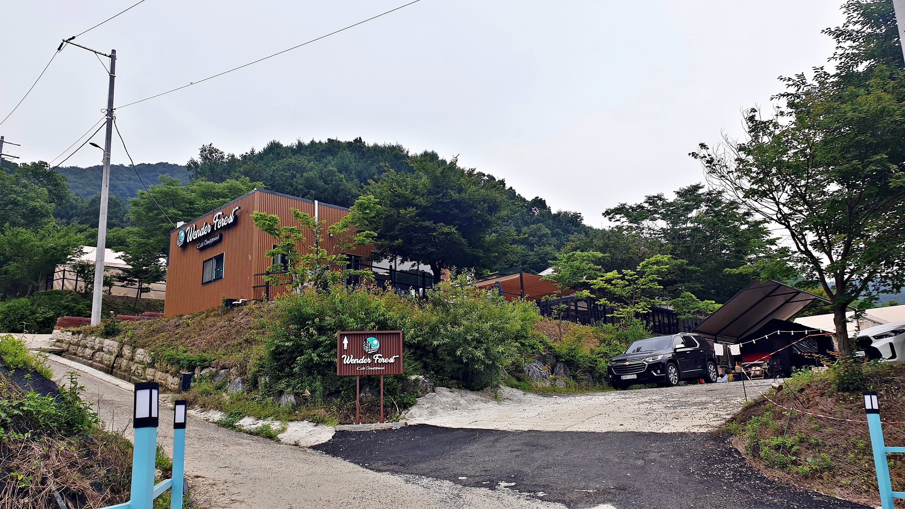 원더 포레스트 이미지 3