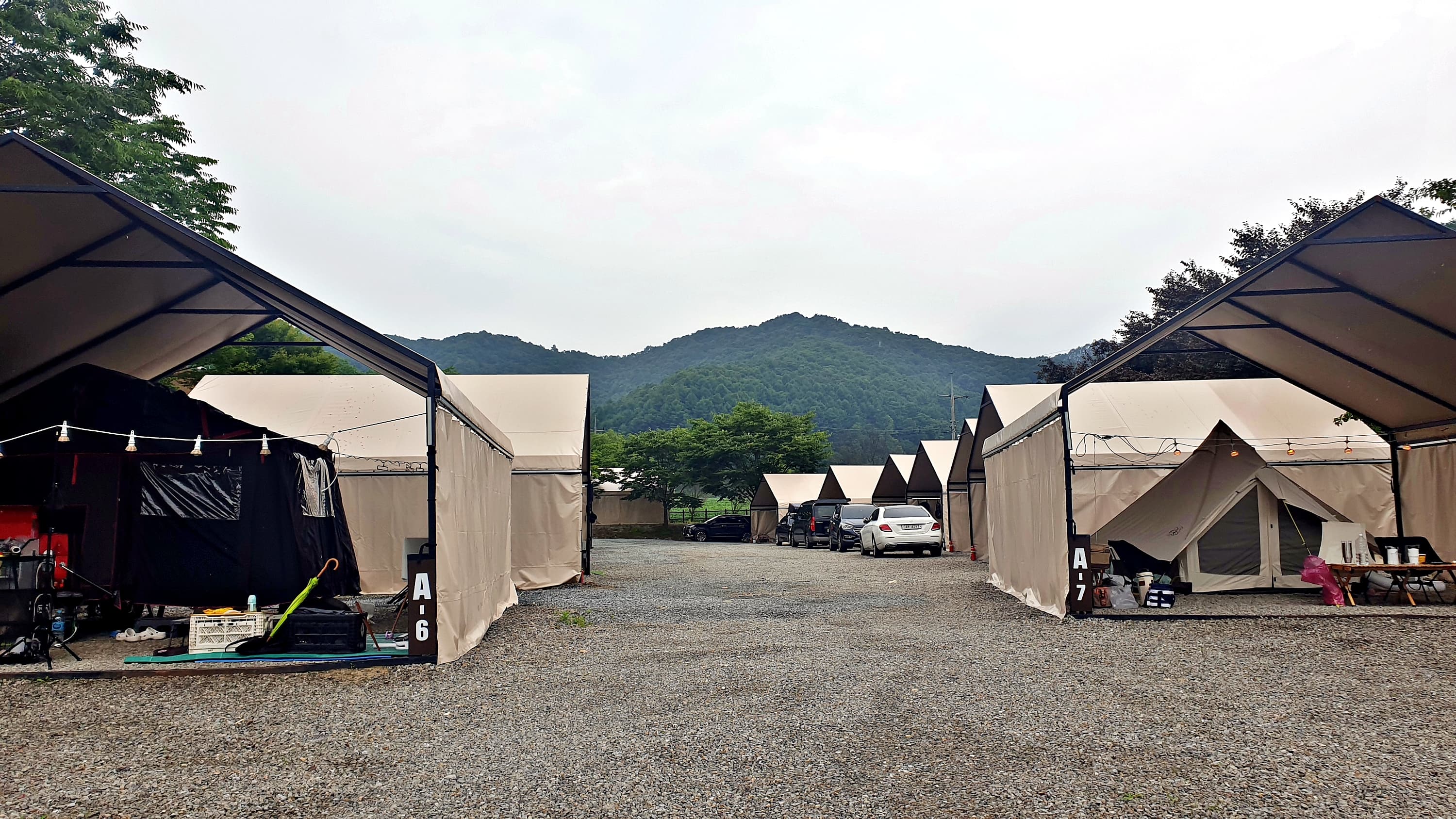 원더 포레스트 이미지 2