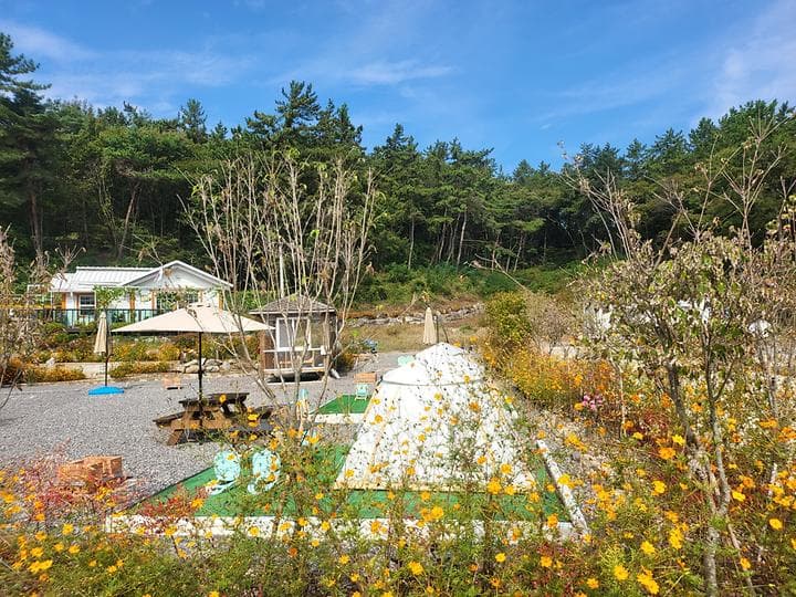 사천파인트리캠핑장