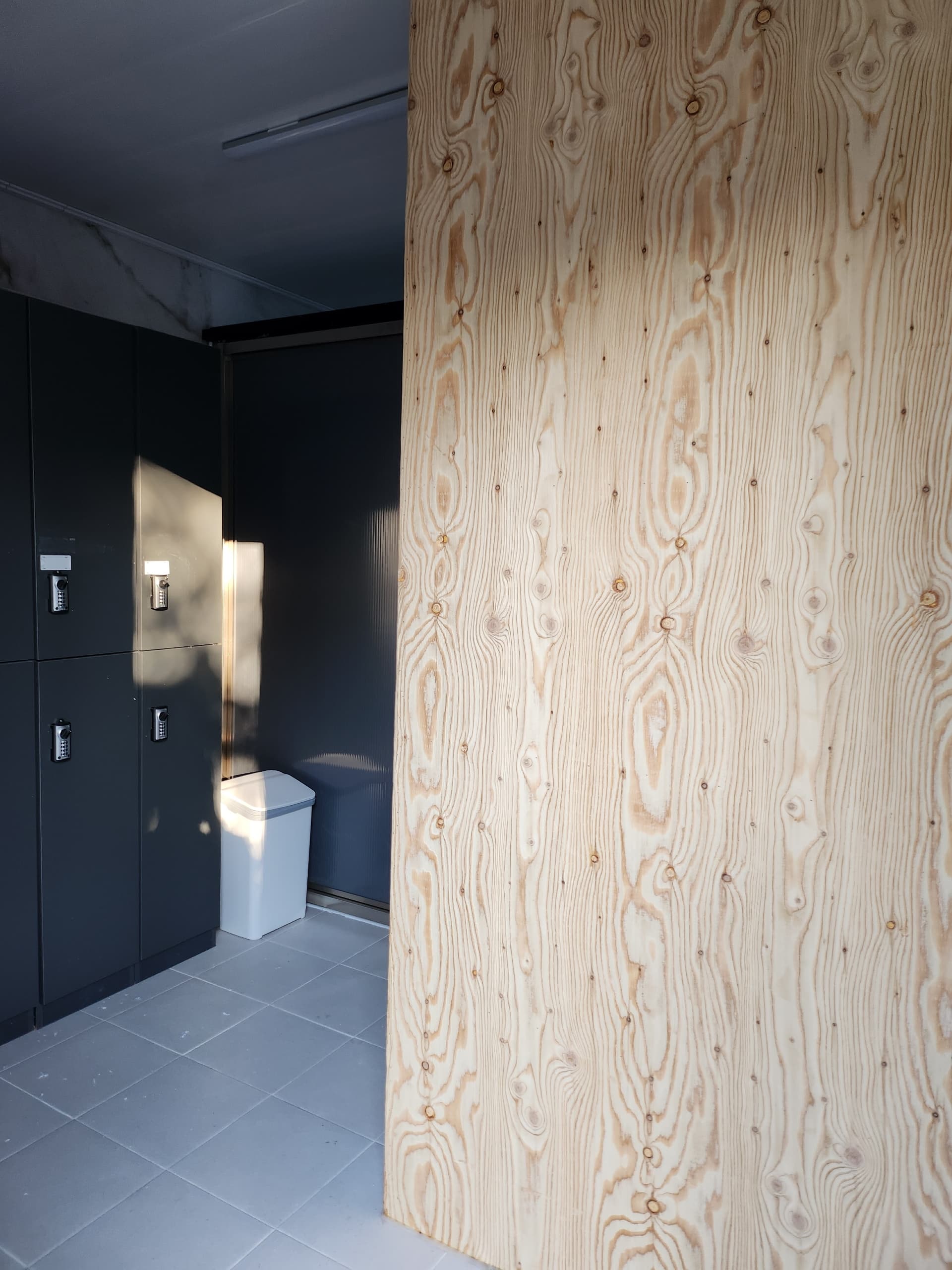 나무와 쉬리 이미지 3