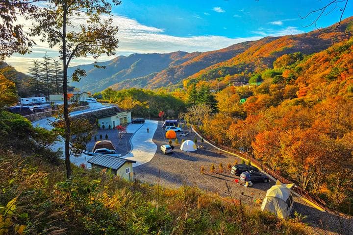 서진이네 오토캠핑장