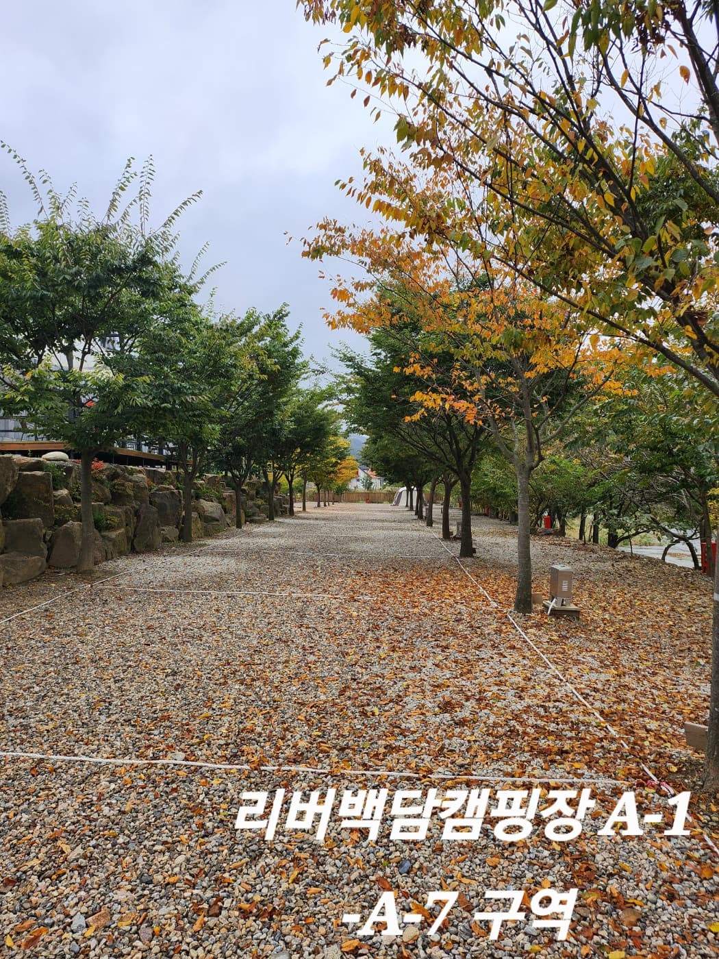 리버백담 캠핑장 이미지 2