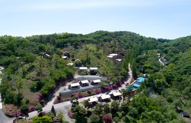 동화힐링캠프 이미지 2