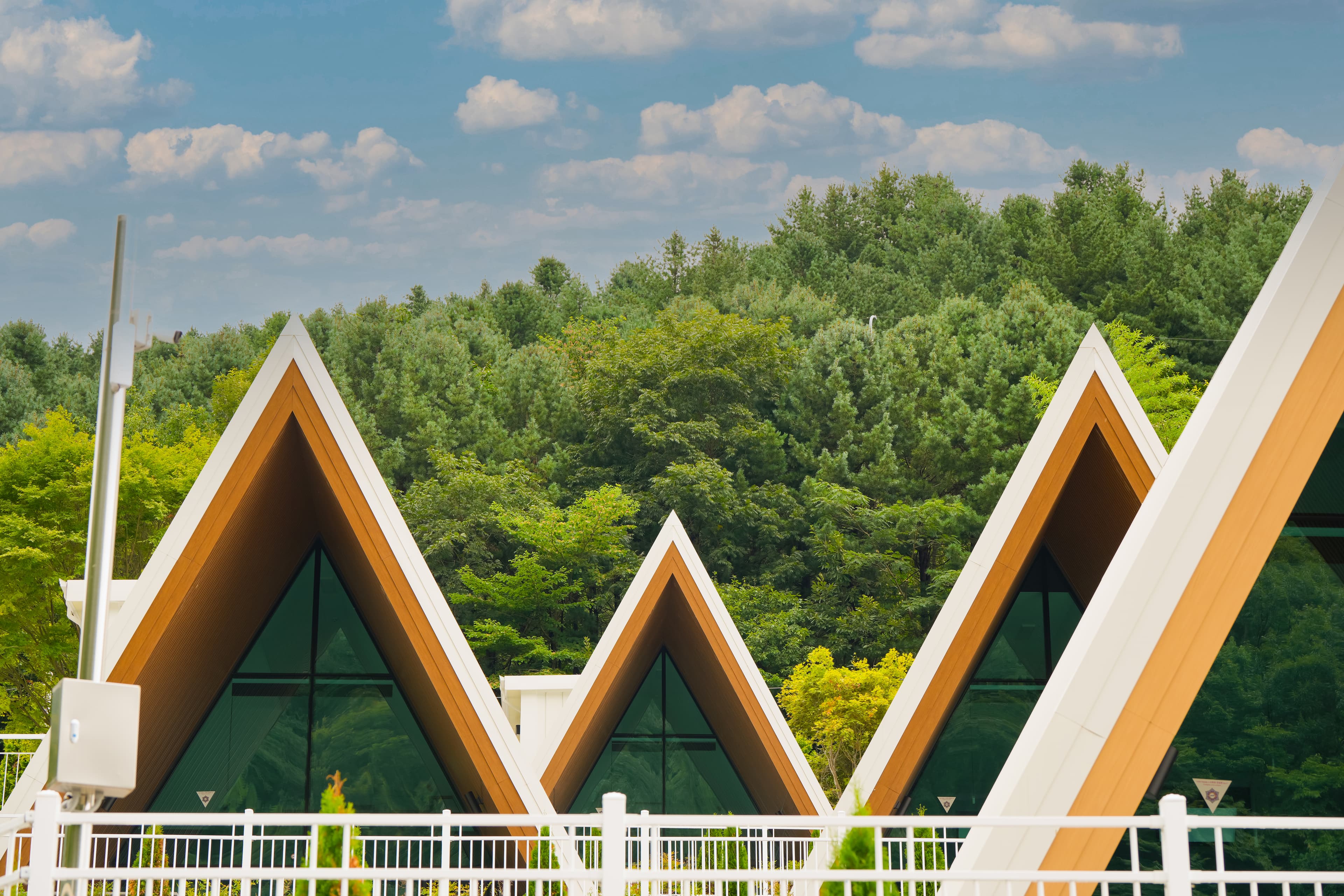 앤더포레 이미지 2