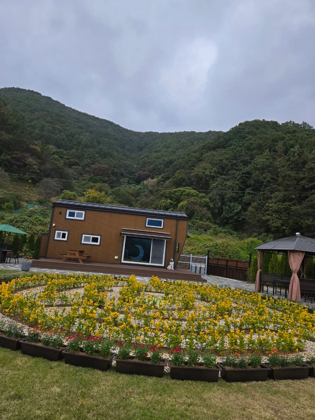 달빛소나타 이미지 2