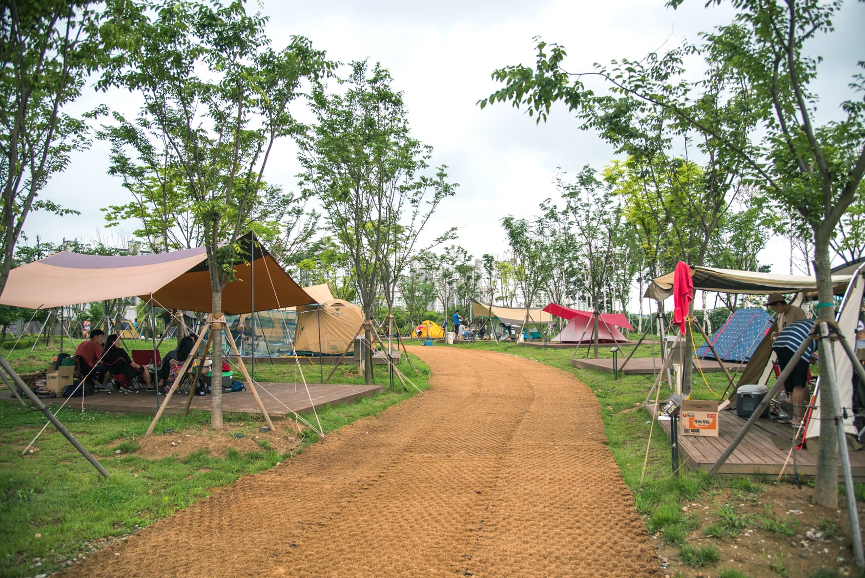 맑음터공원 캠핑장 이미지 2