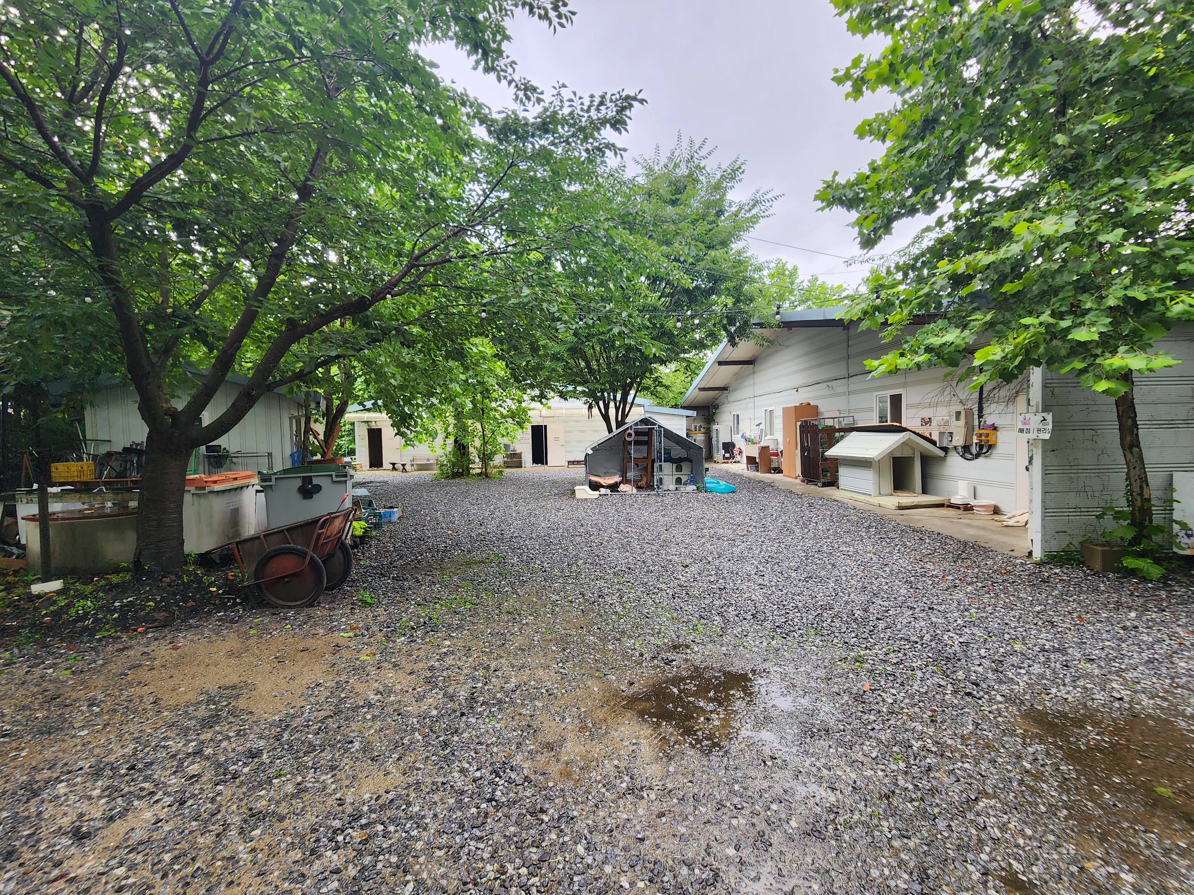 몬테비얀코 이미지 3